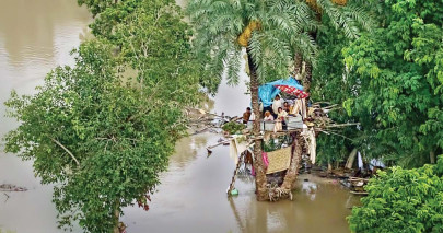 south punjab politicians urge centre to prioritise relief efforts