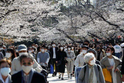springtime in japan but covid 19 limits festivities for cherry blossom fans