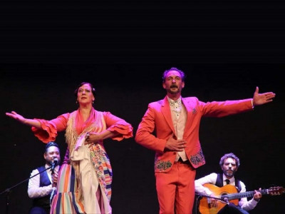 flamenco performance leaves audience spellbound at karachi arts council