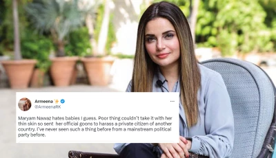 Armeena Khan Sex - Armeena Khan takes on PMLN after private photos leaked