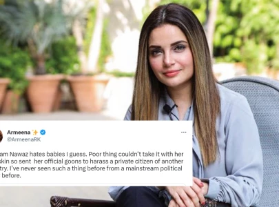 they tried to threaten me armeena khan takes on pmln after private photos leaked