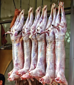 stocking up on dead meat