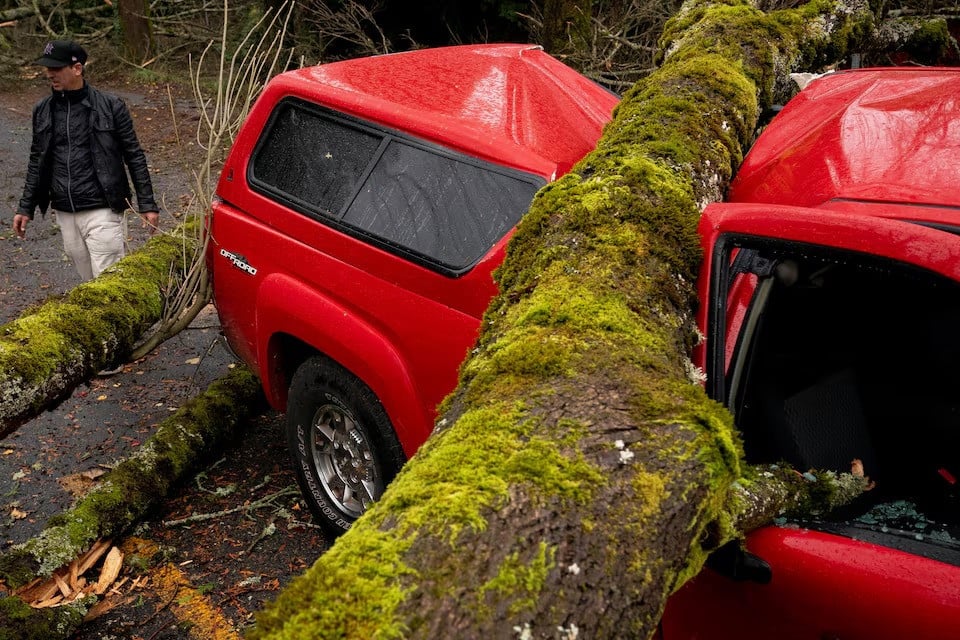 a fallen tree sits atop a fire department vehicle after a powerful storm hit the us pacific northwest and western canada causing power outages in washington oregon california and british columbia while wreaking havoc on road travel in seattle washington on november 20 2024 photo reuters