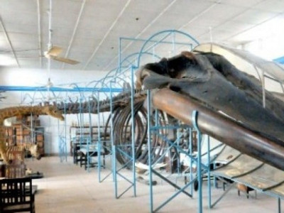 archaeology and museums department sindh doesn t have money to pay workers of devolved sites