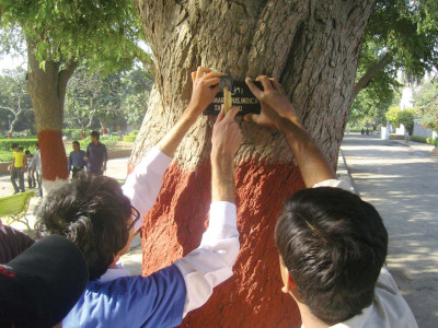 foundation students start 5 year plan to save the zoo