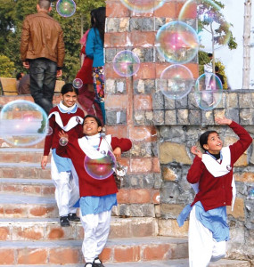 kiosk chaos sky high prices at lake view park kiosk chaos sky high prices at lake view park