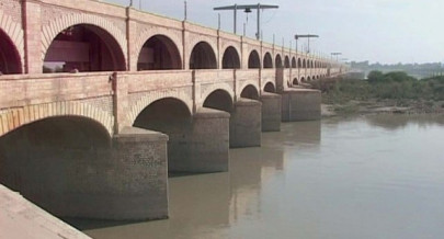 scores of fish killed by poisoning in sukkur barrage canals scores of fish killed by poisoning in sukkur barrage canals