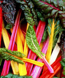 green revolution going back to the basics green revolution going back to the basics