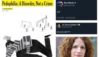 maga republicans resurface 2014 new york times pedophilia op ed musk labels it evil propaganda