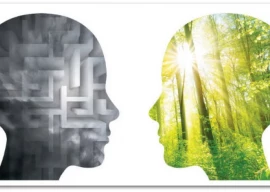 reconnecting with nature