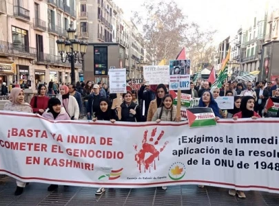 solidarity protests call for freedom mark kashmir day across europe uk
