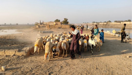 a call to action balochistan s suicide epidemic