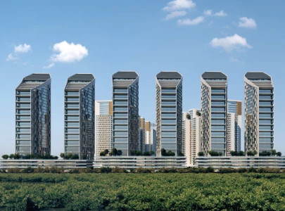 tpl unveils the mangrove tpl unveils the mangrove