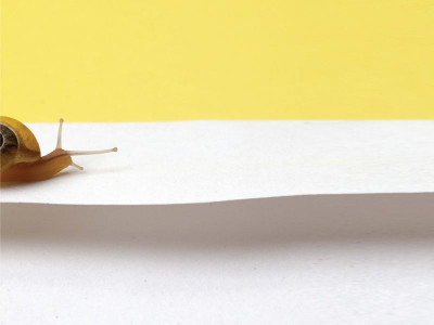 filing tax returns not quite ready for the it revolution