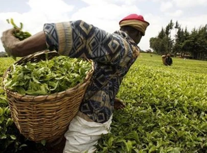 pakistan kenya discuss trade beyond tea pakistan kenya discuss trade beyond tea