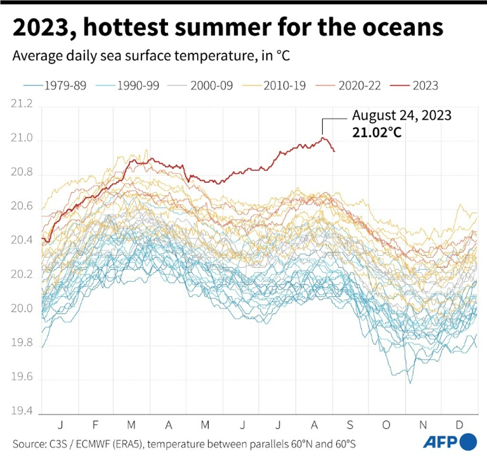 2023, hottest summer for the oceans. PHOTO: AFP