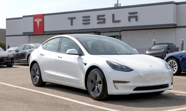 teslas are deadliest road vehicles despite safety features study teslas are deadliest road vehicles despite safety features study