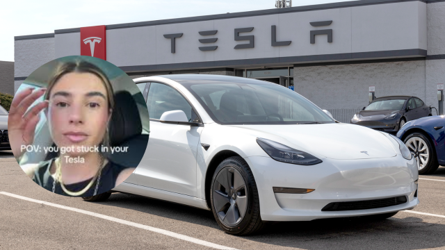 tesla software update traps tiktoker in sweltering heat tesla software update traps tiktoker in sweltering heat