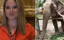 woman killed while bathing elephant in thailand