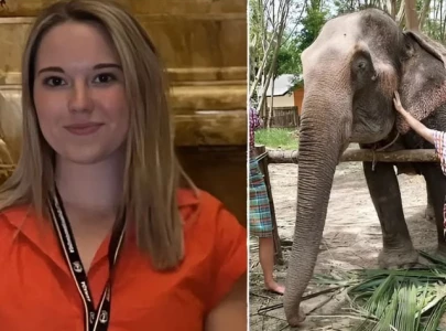 woman killed while bathing elephant in thailand woman killed while bathing elephant in thailand