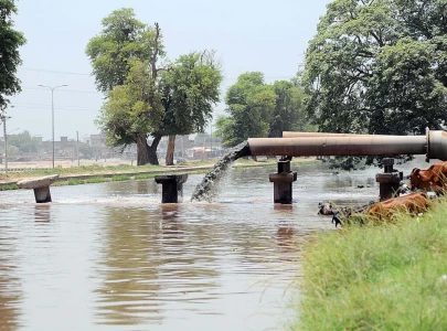 ppp ramps up protest against canals ppp ramps up protest against canals