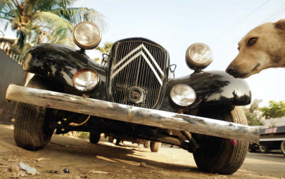 they may be old but they ve still got the looks they may be old but they ve still got the looks