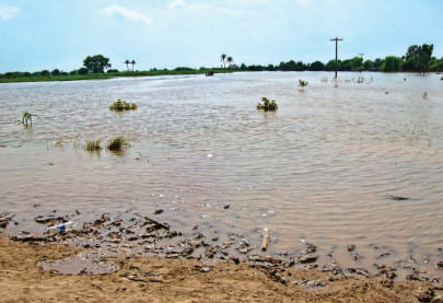 the road less travelled is now home to many