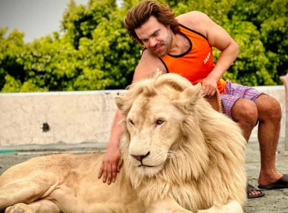 tiktoker s lion seized by punjab wildlife authorities