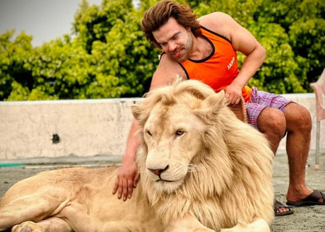 tiktoker s lion seized by punjab wildlife authorities