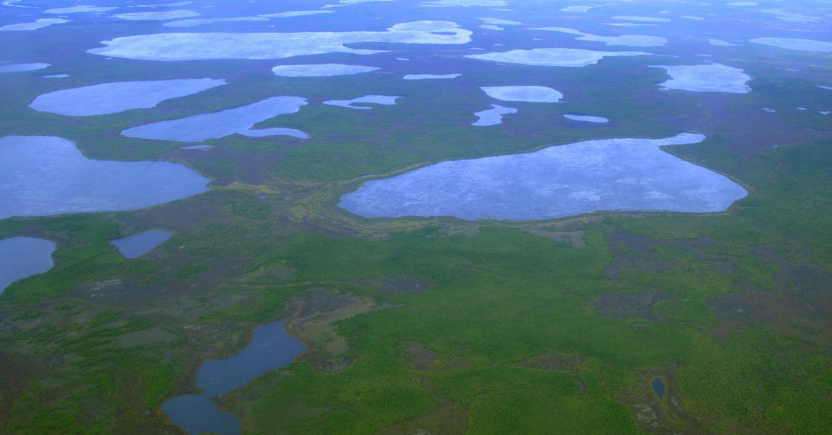 an aerial view shows thermokarst lakes outside the town of chersky in northeast siberia august 28 2007 photo reuters