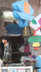 toronto park bans kite flying