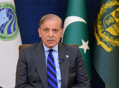 pakistan met imf s december tax target despite challenges pm shehbaz