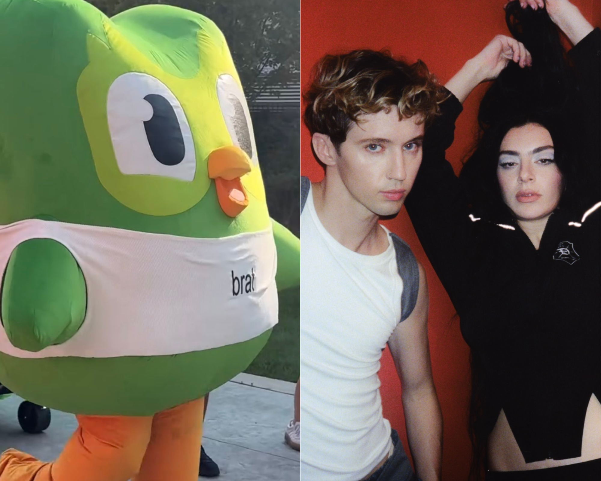 Duolingo bird wears ‘brat’ shirt to Charli xcx and Troye Sivan’s ‘Sweat Tour’ opening night