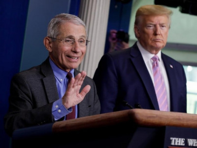 fauci rejects trump s 99 of virus cases harmless claim