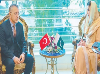 cm pledges to facilitate turkish investors