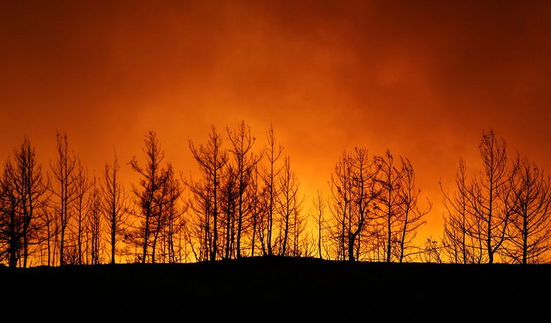 a forest fire burns near the town of manavgat east of the resort city of antalya turkey july 29 2021 photo reuters