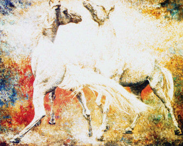 pakistan s tour de art