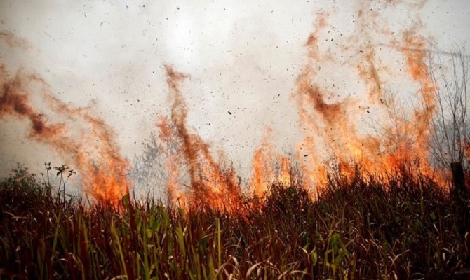 a tract of the amazon jungle burns as it is cleared by loggers and farmers in porto velho brazil august 24 2019 photo reuters