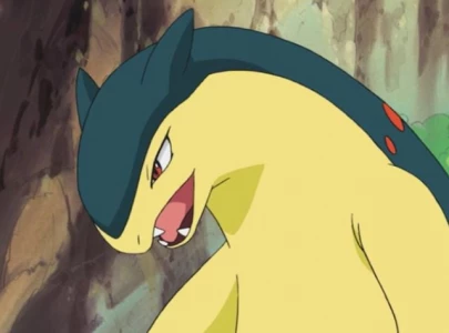 is typhlosion a predator internet reacts to game freak pok mon leaks