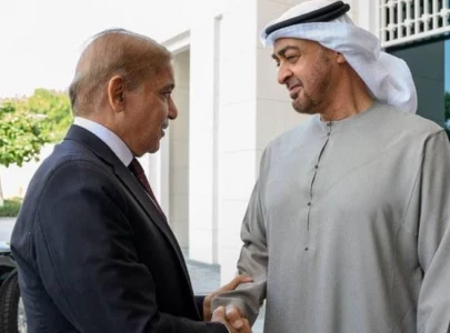 pm shehbaz thanks uae president for helping pakistan