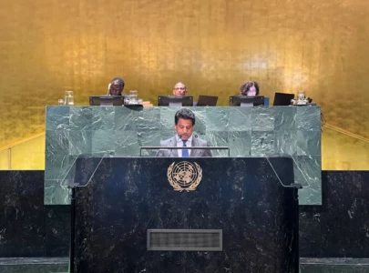 pakistan seeks protection of iiojk palestine people