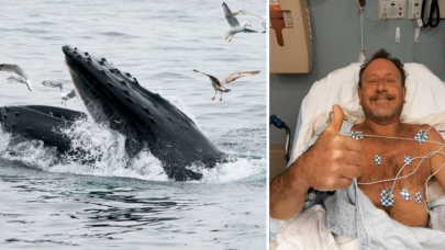 watch us fisherman says swallowed by humpback whale watch us fisherman says swallowed by humpback whale