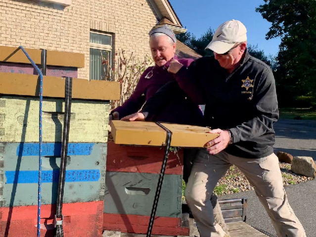 rorie sussan woods 55 unleashes a swarm of bees on deputies serving eviction papers in longmeadow massachusetts u s october 12 2022 photo reuters rorie sussan woods 55 unleashes a swarm of bees on deputies serving eviction papers in longmeadow massachusetts u s october 12 2022 photo reuters