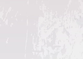 america s struggle with homegrown terrorism