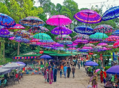 umbrella market set up at patriata umbrella market set up at patriata