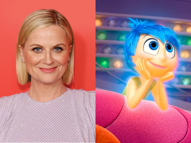 amy poehler says inside out movies fundamentally changed my life i feel really lucky