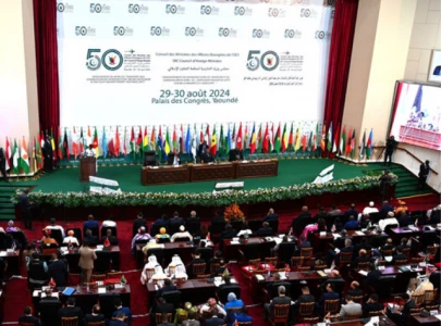 pakistan urges immediate ceasefire in gaza at oic meeting