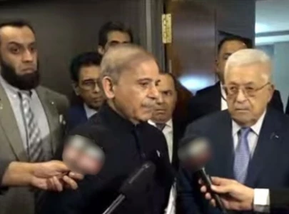 pm shehbaz condemns israeli actions in gaza supports palestinian statehood