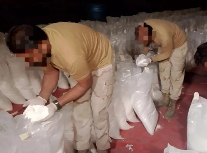 anf seizes drugs from container booked for malaysia