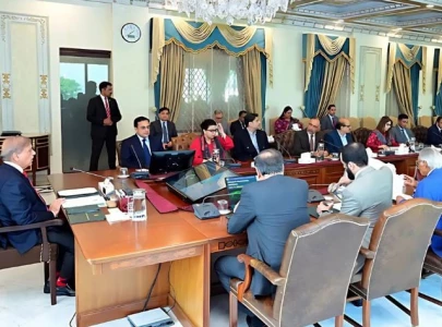 pm shehbaz urges nation to donate to pm s relief fund for gaza lebanon